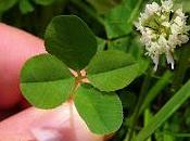 Tradiciones Supersticiones: ¿Truco Trato?