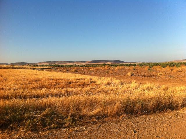 And the journey begins...(+ outfit)