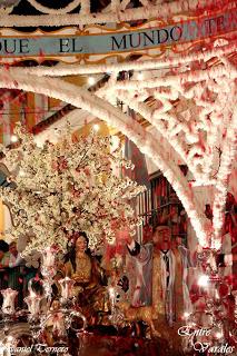 Fotografías de la procesión de la Divina Pastora de Cantillana (II)