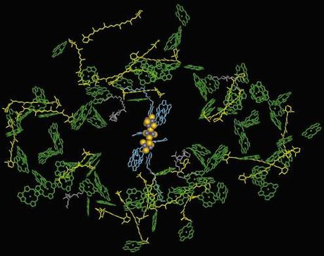 Flujo de electrones desde el fotosistema II a la plastoquinona