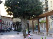 VIVENCIAS NATURAL. ¡Qué bien hemos pasado niños pueblo! agosto 2013