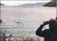 Nahuelito, el esquivo monstruo de la Patagonia