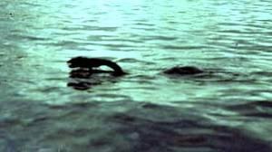 Nahuelito, el esquivo monstruo de la Patagonia