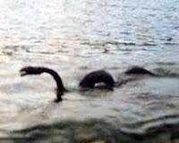 Nahuelito, el esquivo monstruo de la Patagonia