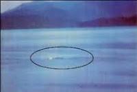 Nahuelito, el esquivo monstruo de la Patagonia