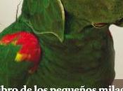 Novedades, septiembre 2013: Páginas espuma