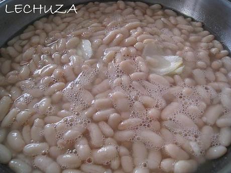 BONITO CON FABES (4)