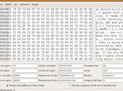 Guía GHex editor hexadecimal GNOME: editar archivo