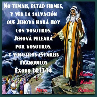 ESTARÉIS TRANQUILOS