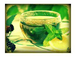 Mas sobre los té...