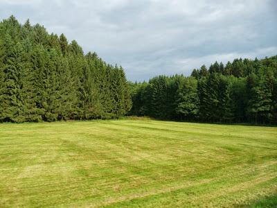 Día 4. Aventuras en las cataratas más grandes de Europa!!