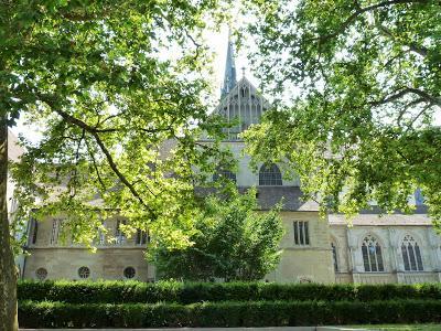 Día 4. Aventuras en las cataratas más grandes de Europa!!