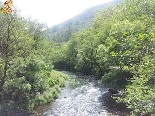 Fragas do Eume y Monasterio de Caaveiro - A Coruña Fragas do Eume y Monasterio de Caaveiro - A Coruña