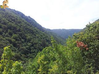 Fragas do Eume y Monasterio de Caaveiro - A Coruña Fragas do Eume y Monasterio de Caaveiro - A Coruña