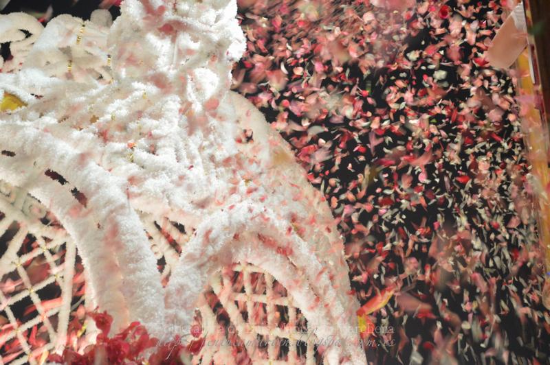 Fotografías de la procesión de la Divina Pastora de Cantillana (IV)