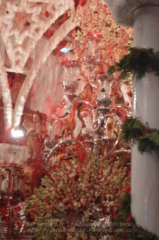 Fotografías de la procesión de la Divina Pastora de Cantillana (IV)