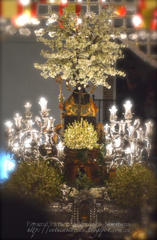 Fotografías de la procesión de la Divina Pastora de Cantillana (IV)