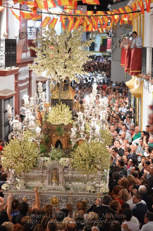 Fotografías de la procesión de la Divina Pastora de Cantillana (IV)