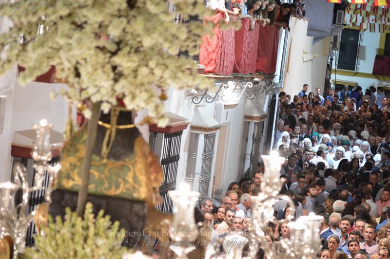 Fotografías de la procesión de la Divina Pastora de Cantillana (IV)