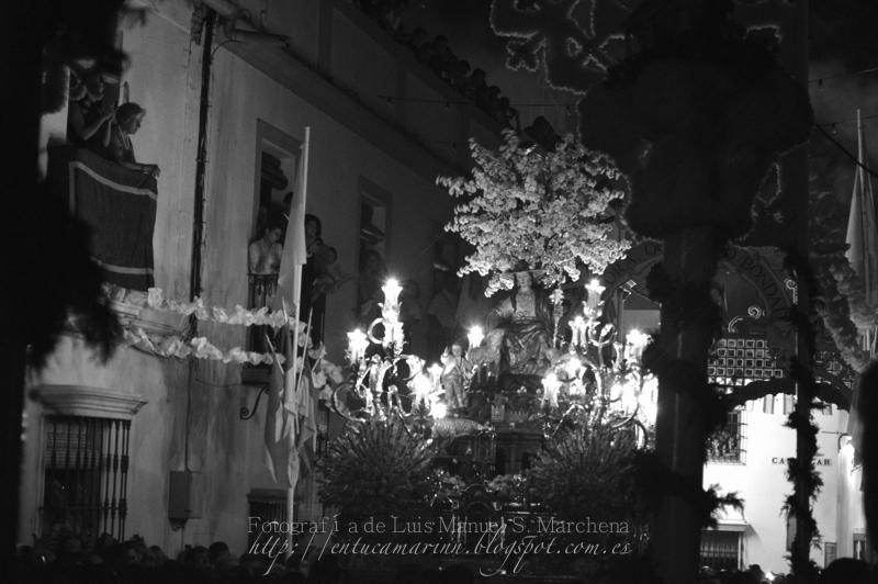Fotografías de la procesión de la Divina Pastora de Cantillana (IV)