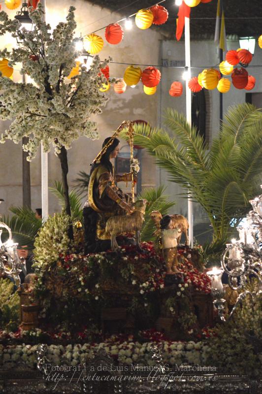 Fotografías de la procesión de la Divina Pastora de Cantillana (IV)