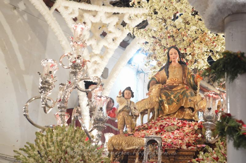 Fotografías de la procesión de la Divina Pastora de Cantillana (IV)
