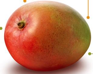 Cetonas de Frambuesa de SBELTA PLUS – perdiendo peso de manera natural Cetonas de Frambuesa de SBELTA PLUS – perdiendo peso de manera natural