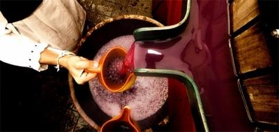 Fiesta de la Vendimia de Rioja Alavesa.