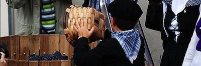 Fiesta de la Vendimia de Rioja Alavesa.