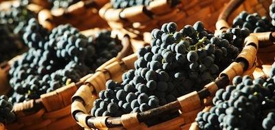 Fiesta de la Vendimia de Rioja Alavesa.