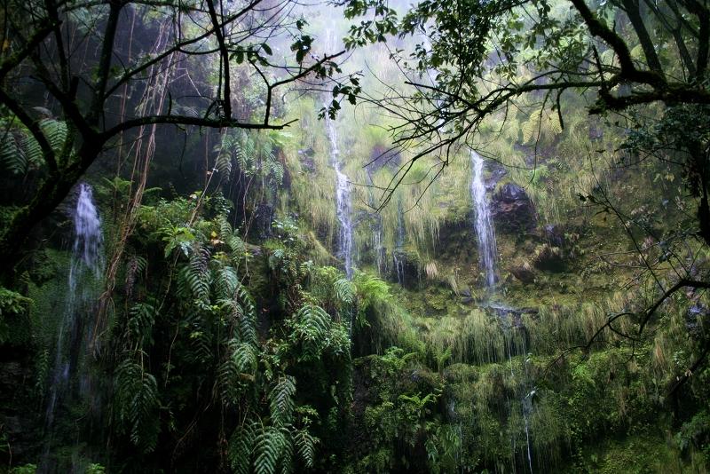 MADEIRA I