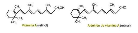 vitamina A