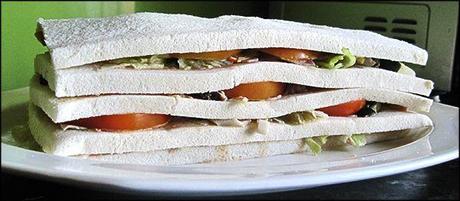 El gran mediterráneo vegetal