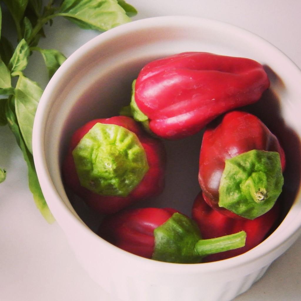 spaghetti_con_mejillones