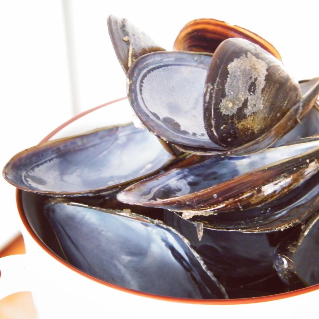 mejillones_Linamar