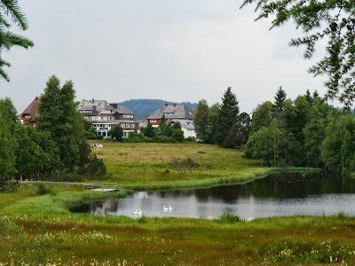 Día 5. Lago Titisee, uno de los lugares más bonitos de la Selva Negra! Día 5. Lago Titisee, uno de los lugares más bonitos de la Selva Negra!