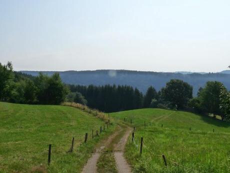 Día 5. Lago Titisee, uno de los lugares más bonitos de la Selva Negra! Día 5. Lago Titisee, uno de los lugares más bonitos de la Selva Negra!