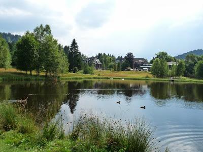 Día 5. Lago Titisee, uno de los lugares más bonitos de la Selva Negra! Día 5. Lago Titisee, uno de los lugares más bonitos de la Selva Negra!