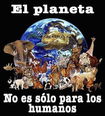 SOMOS ANIMALES  Y ESTAMOS ATRAVESANDO LA EXTINCIÓN  DE NUESTRA ESPECIE Y LAS DEL PLANETA.ANA MARÍA MANCEDA