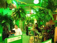 Fitur, Costa Rica, vuelta al mundo, round the world, La vuelta al mundo de Asun y Ricardo, mundoporlibre.com