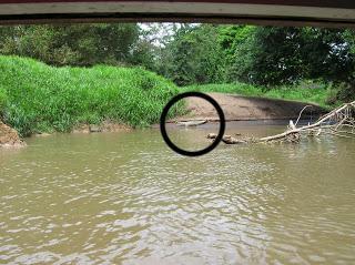 Cocodrilo rio Tortuguero, Costa Rica, vuelta al mundo, round the world, La vuelta al mundo de Asun y Ricardo, mundoporlibre.com