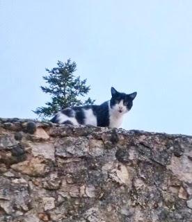 Agosto instagramizado