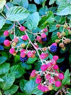 Agosto instagramizado