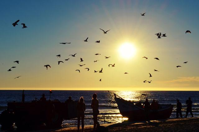 Costa da Caparica day 1