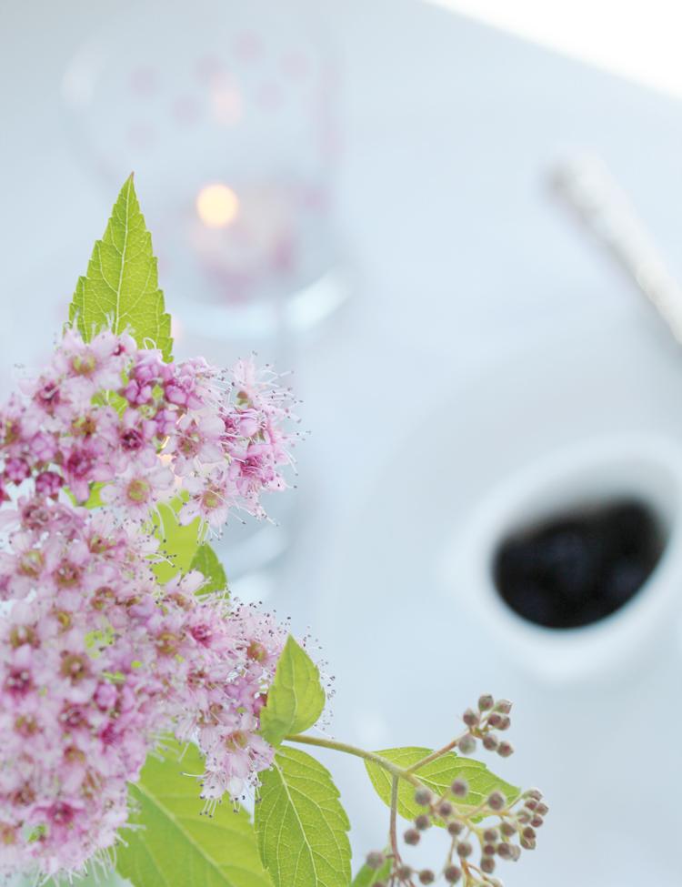 DIY + RECETA: MORAS Y LUNARES!