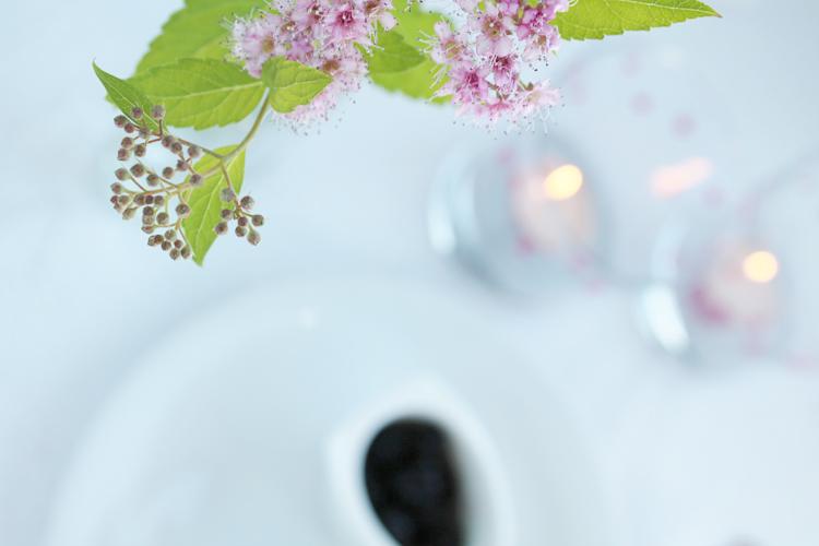 DIY + RECETA: MORAS Y LUNARES!