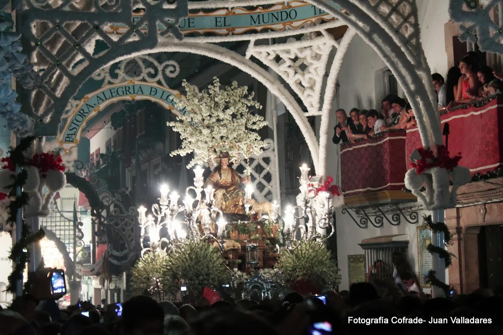 Fotografías de la procesión de la Divina Pastora de Cantillana (VI)