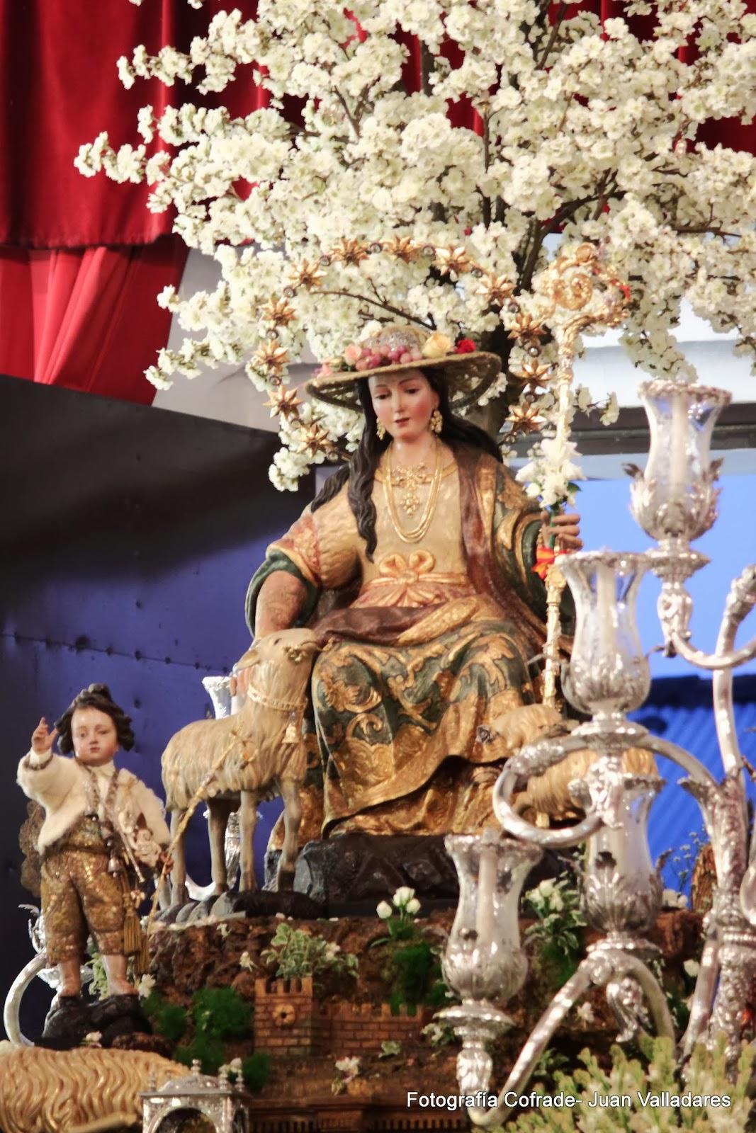 Fotografías de la procesión de la Divina Pastora de Cantillana (VI