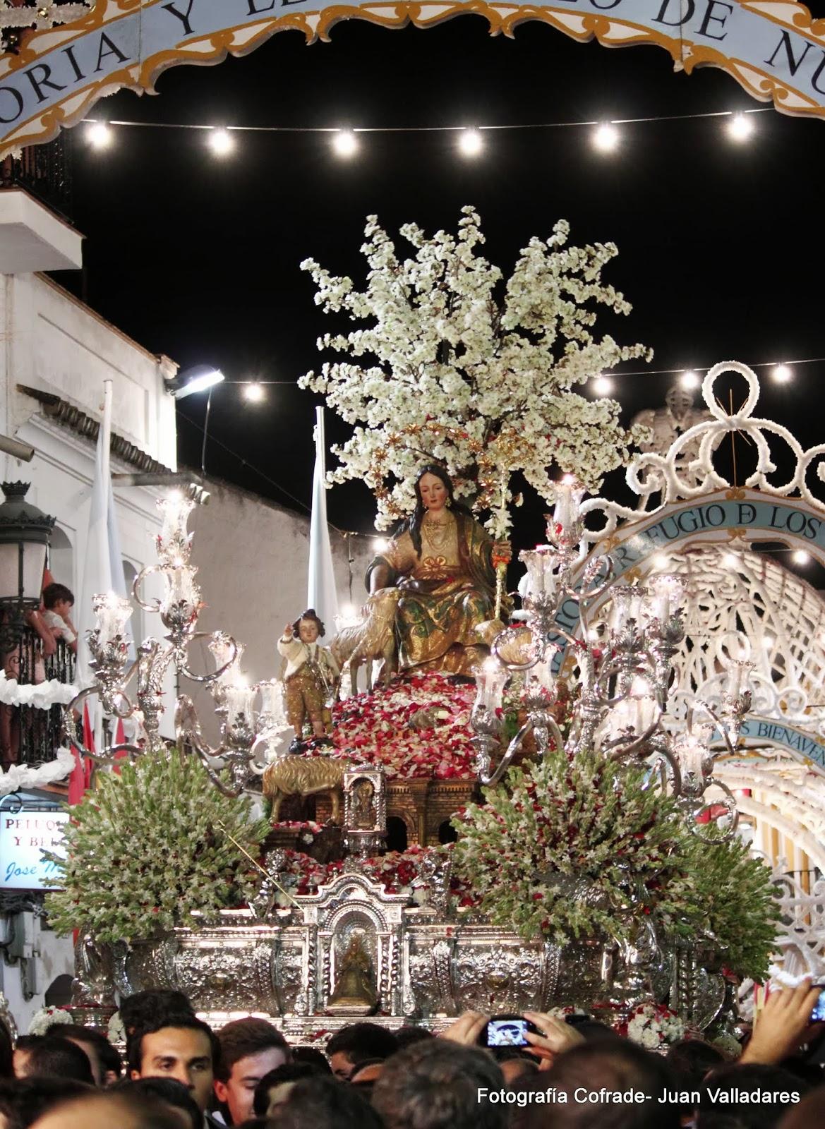 Fotografías de la procesión de la Divina Pastora de Cantillana (VI)