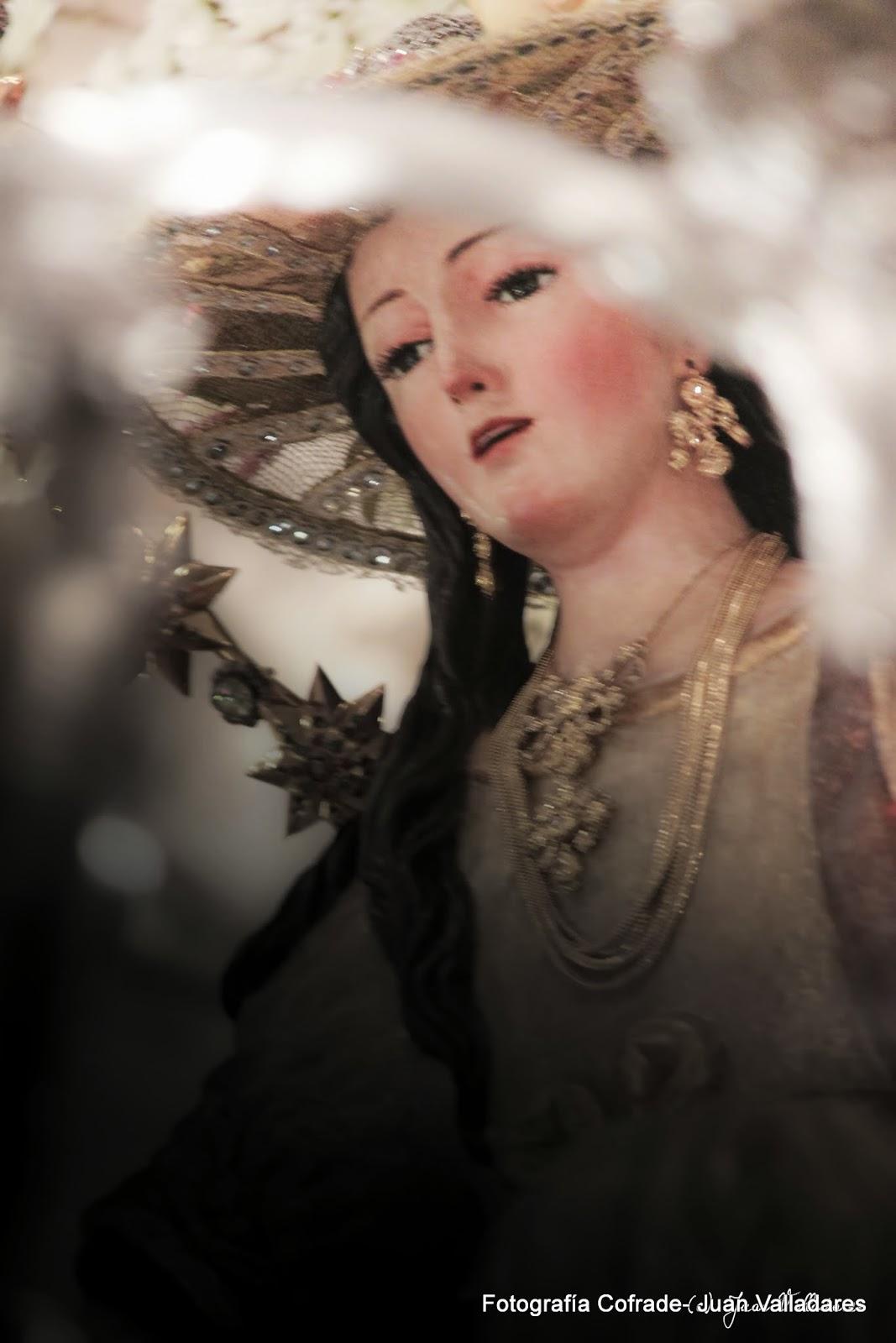 Fotografías de la procesión de la Divina Pastora de Cantillana (VI)